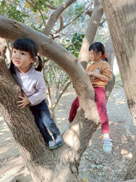 螢幕擷取畫面 2026-01-27 161736.png