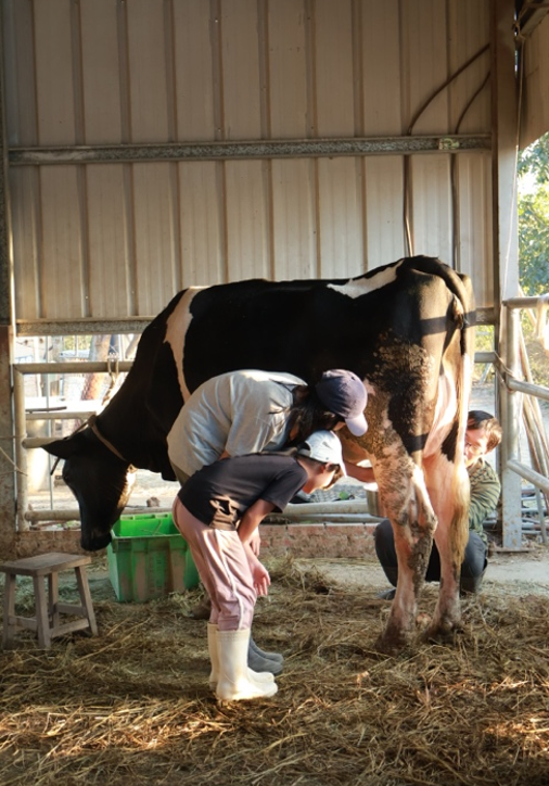 螢幕擷取畫面 2026-03-17 074829.png