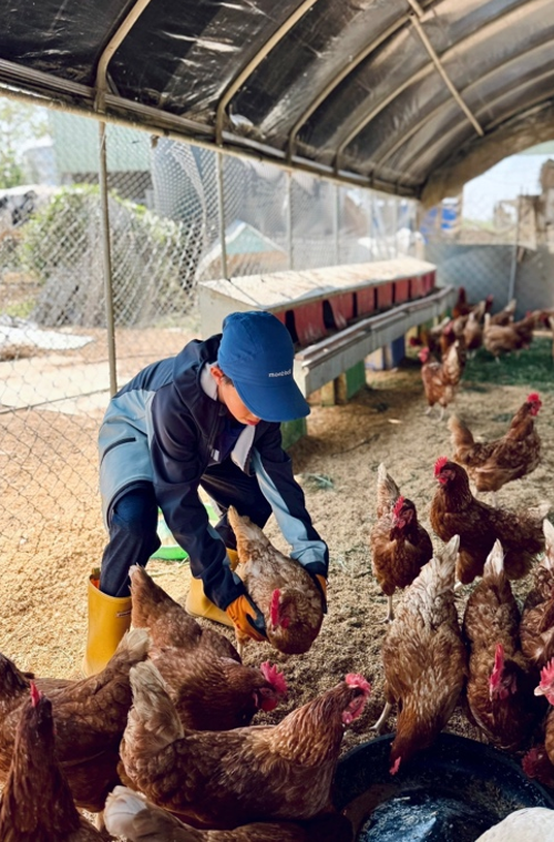 螢幕擷取畫面 2026-03-17 074821.png