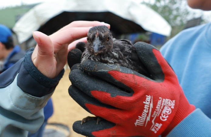 螢幕擷取畫面 2026-03-17 074857.png