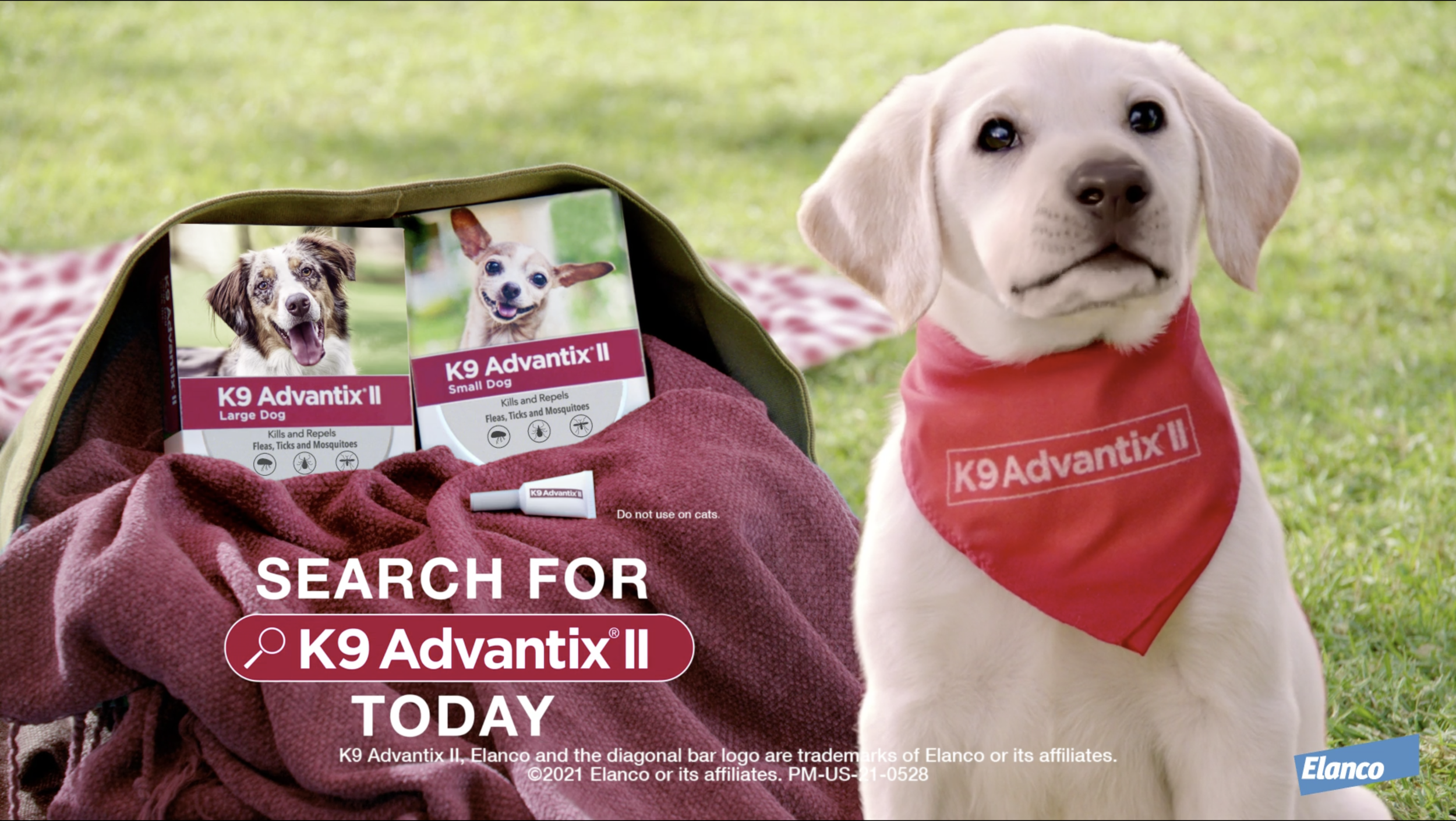 "No need to be scared when you've got Advantix, it kills and repels fleas, ticks and mosquitoes too!"