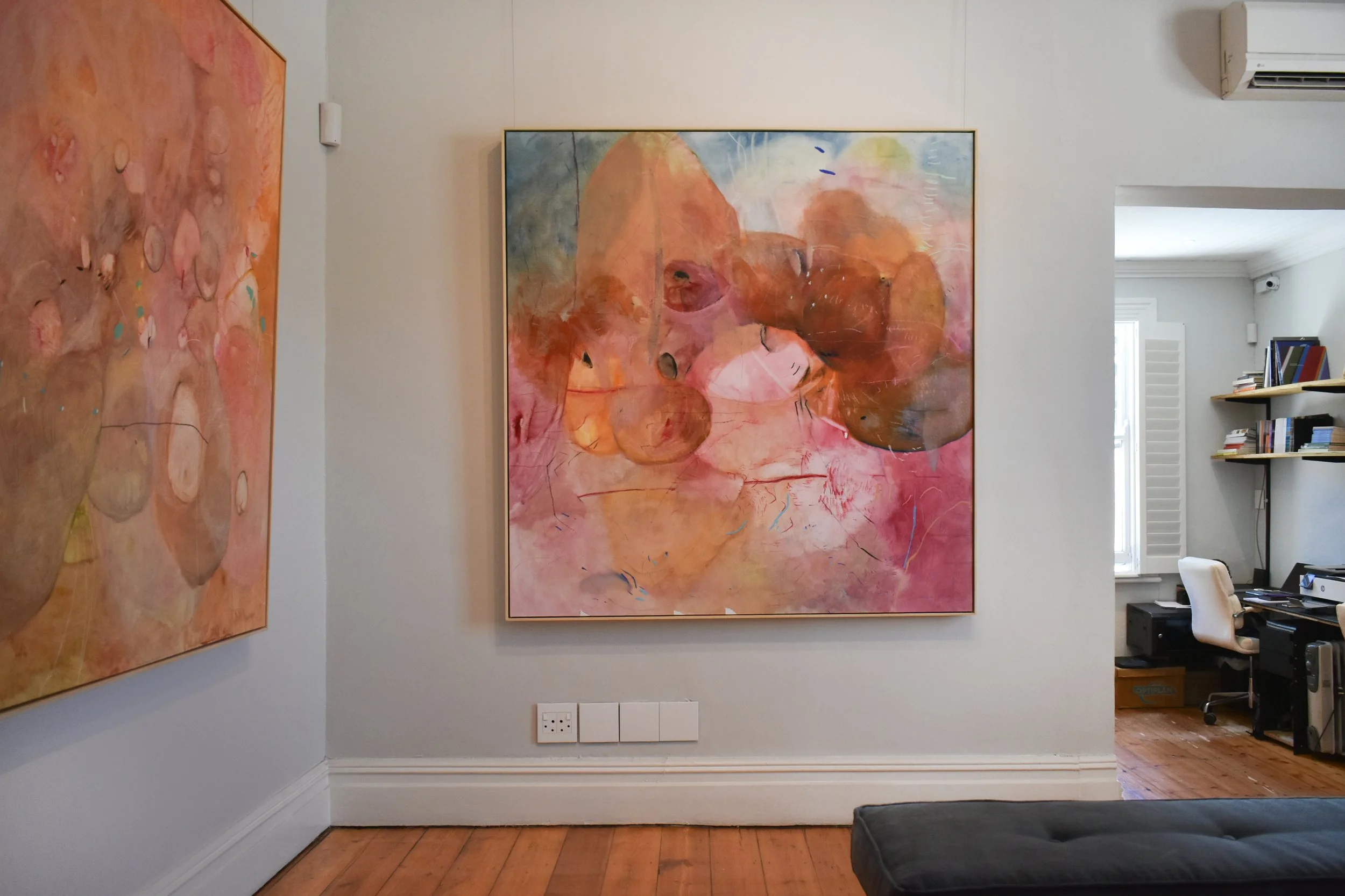 CMAC 2681 Insitu .jpg