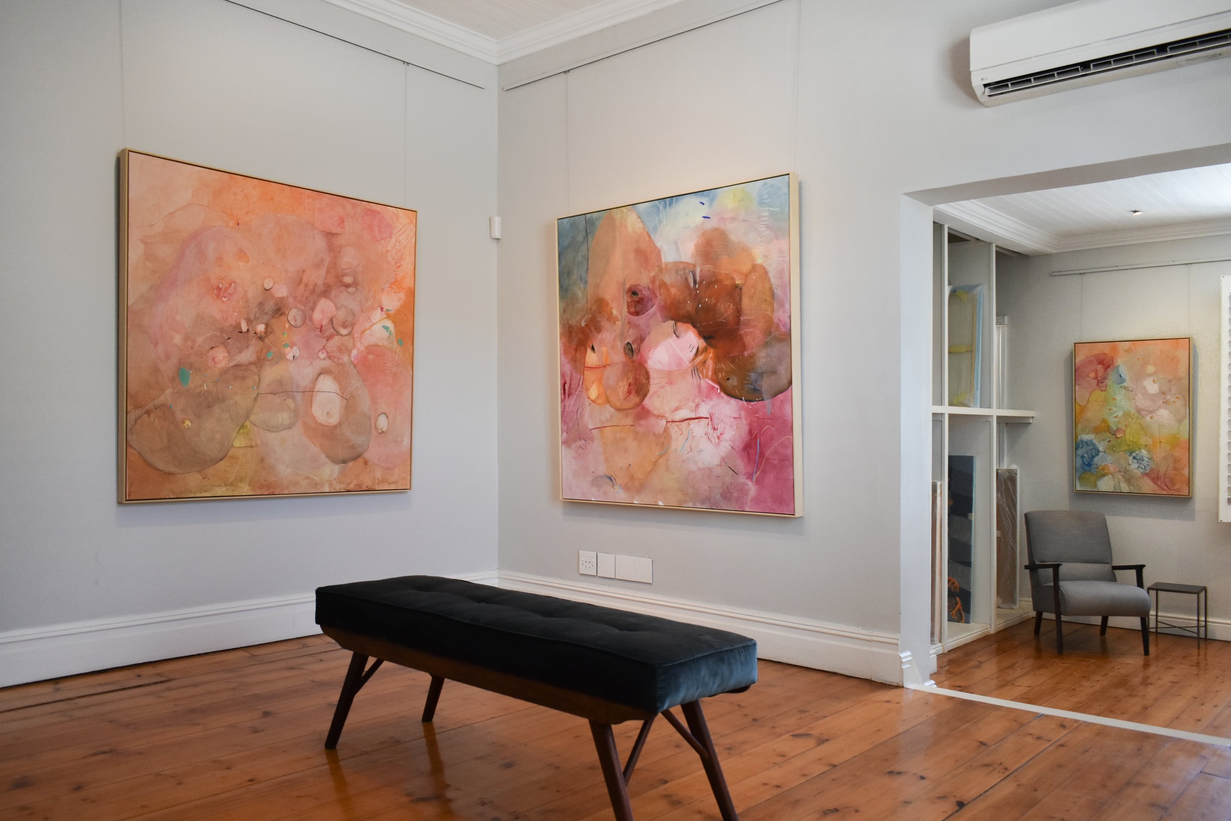 CMAC 2681 + 2708 + 2702 Insitu .jpg