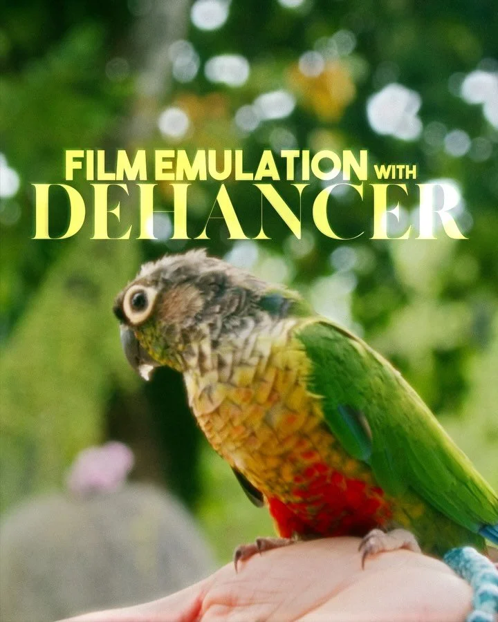 I love film emulation and I&rsquo;ve been messing around with it for a few years and coming up with some of my own grades. This time, I wanted to try out and see how @dehancer.film will work with the footage from this trip.

What do you think? Should