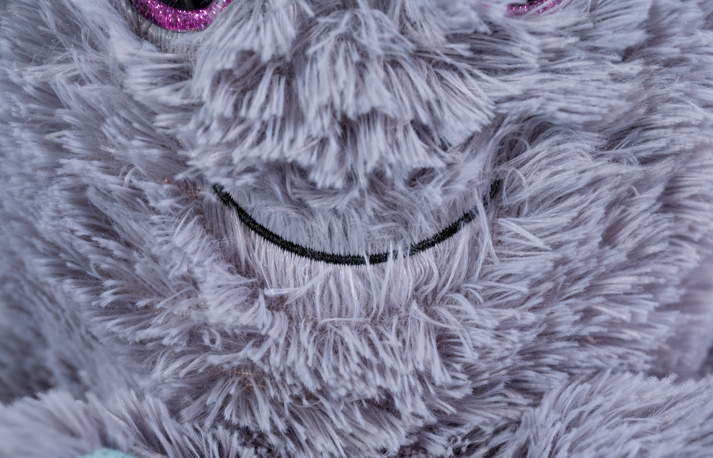 Octopus-3.JPG