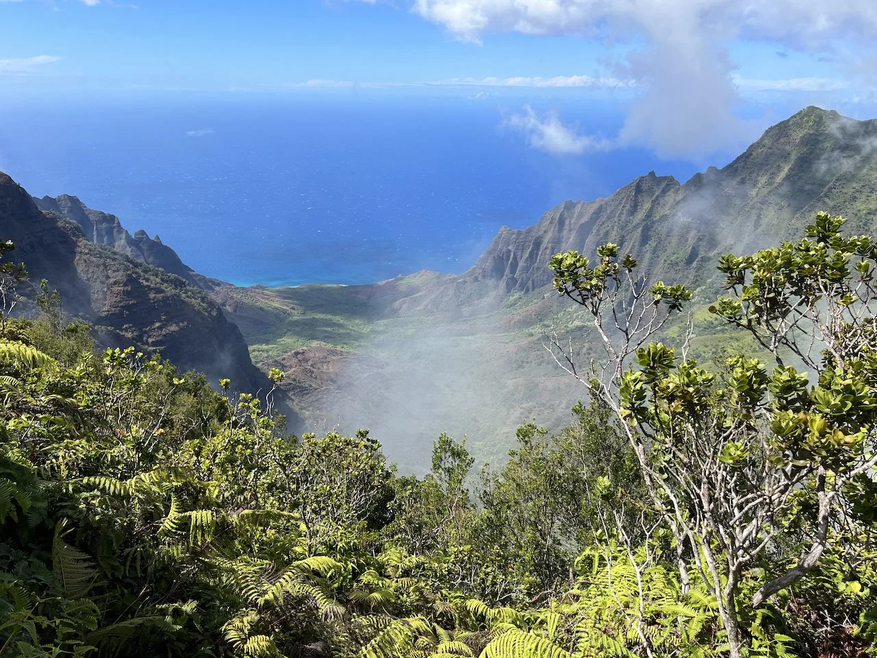 Kauai Birding 2023