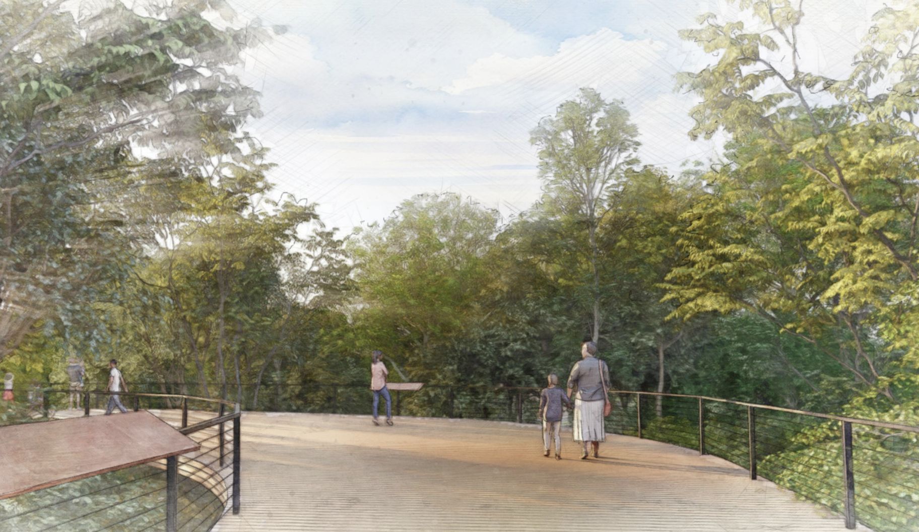 Book 5_Moment 7_Canopy Walkpng.png