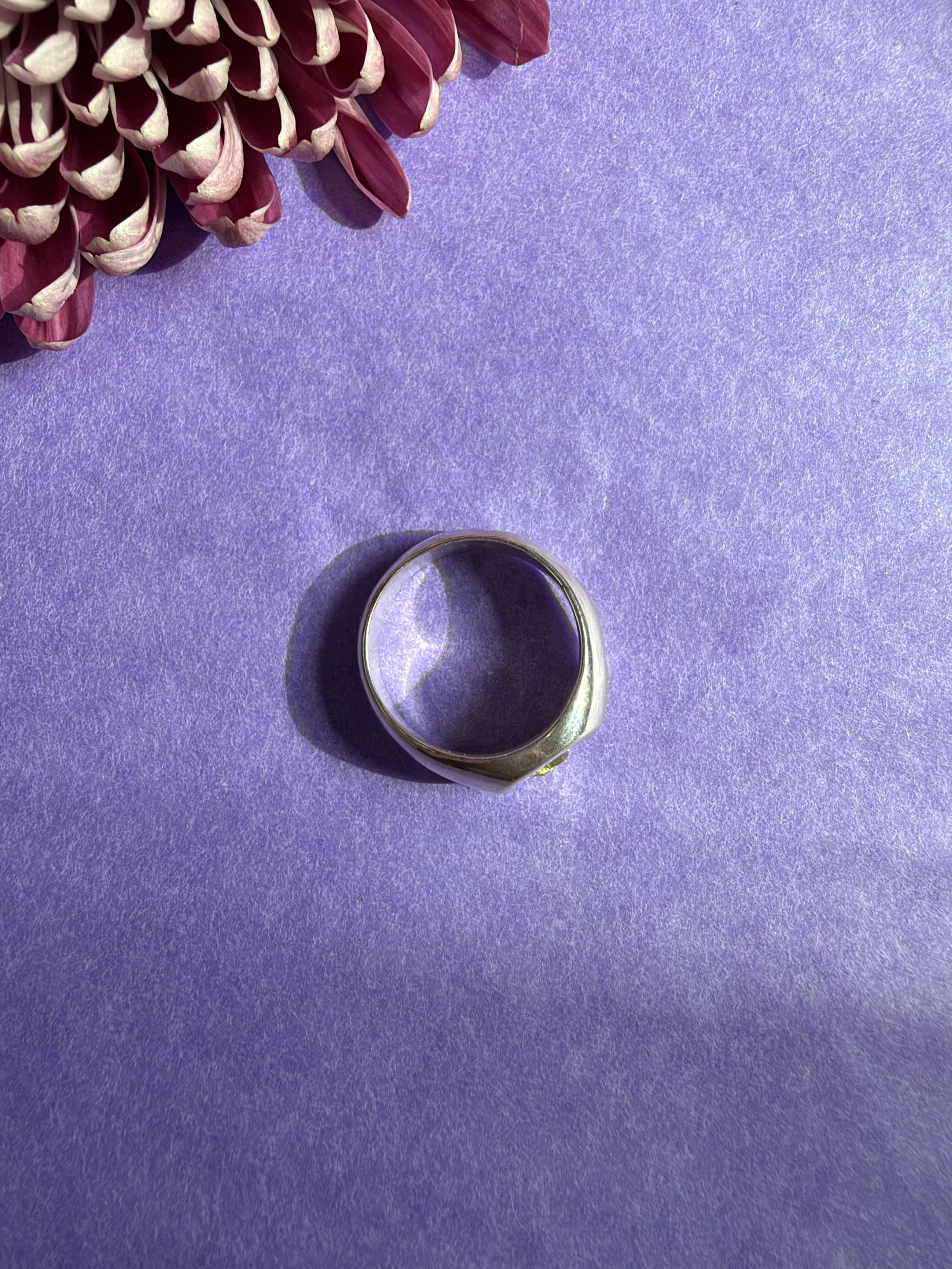 IMG_0099.jpeg
