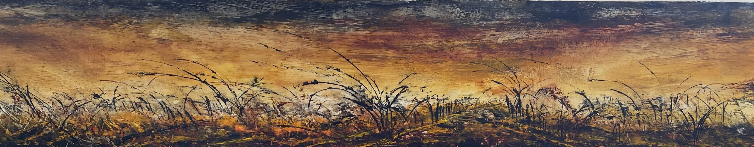 Gorse Hill, dusk..jpg