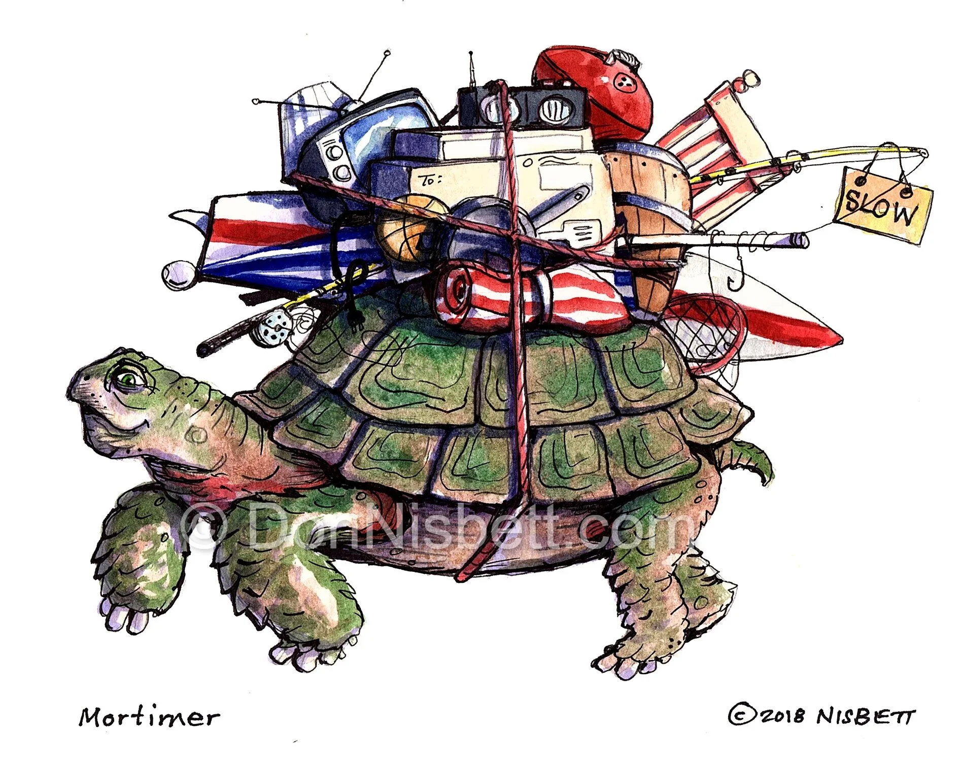 #2347 Mortimer the Turtle