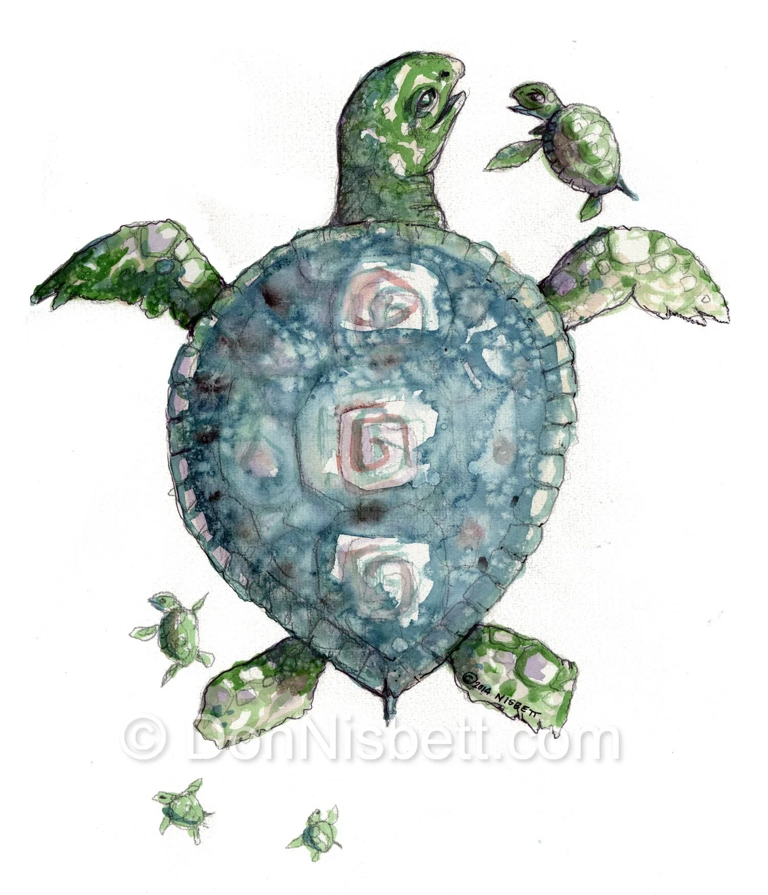# 1792 Turtle