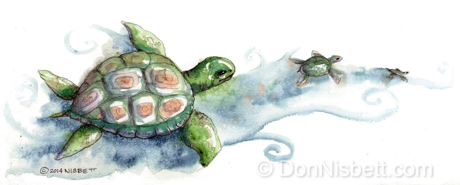 # 1790 Swirl Turtles