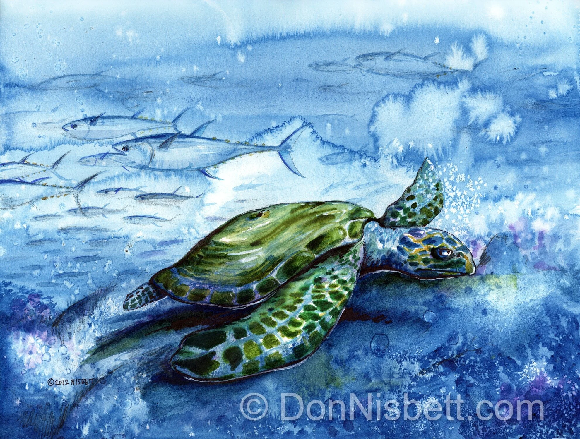 # 1799 Sea turtle