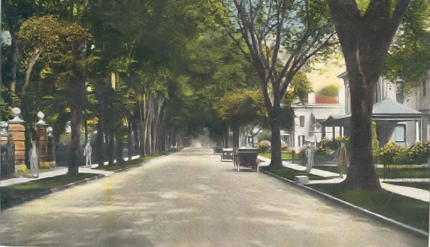 South Street, Auburn, New York, early 1900s