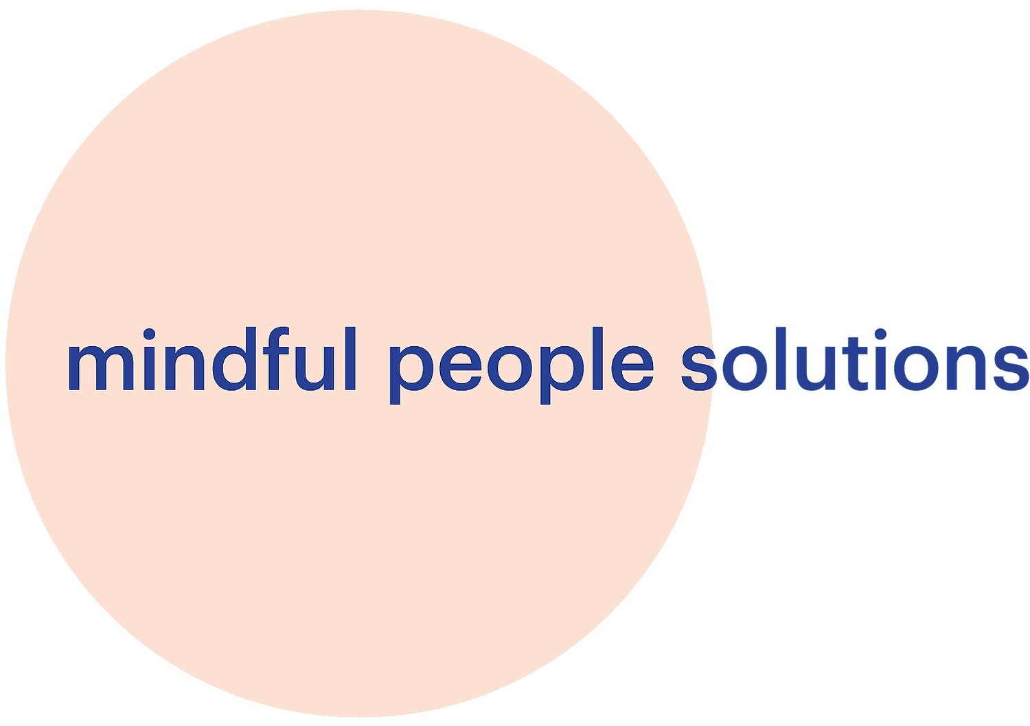 mindful people solutions, llc