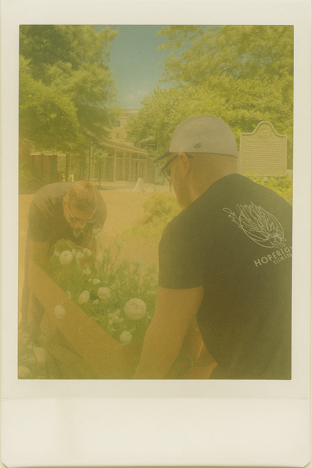 dekalb polaroid.png