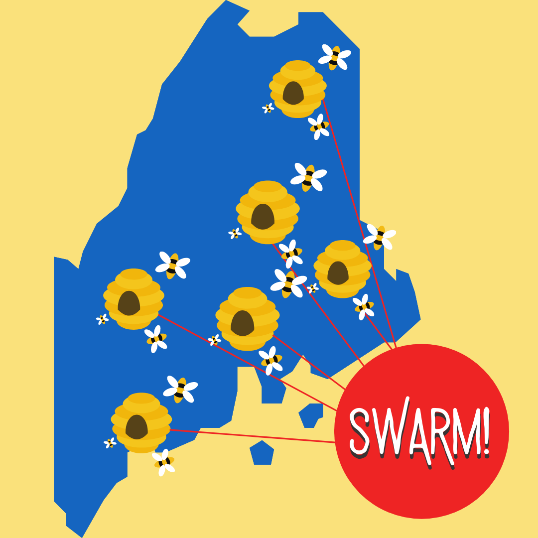 SWARM LOGO IDEAS -.png