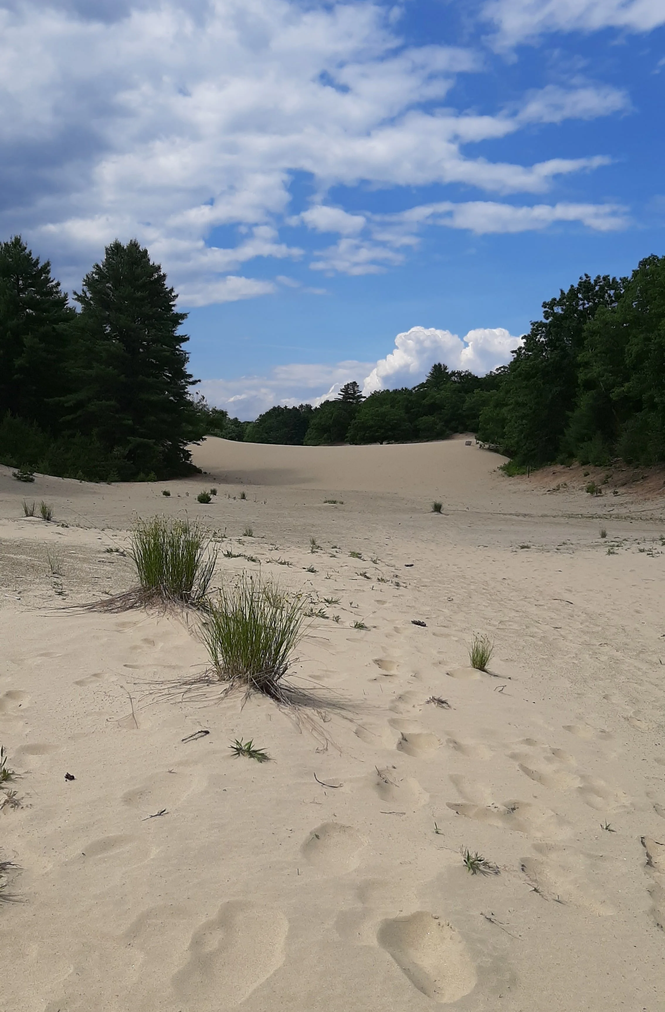 20200706_193241-min.jpg