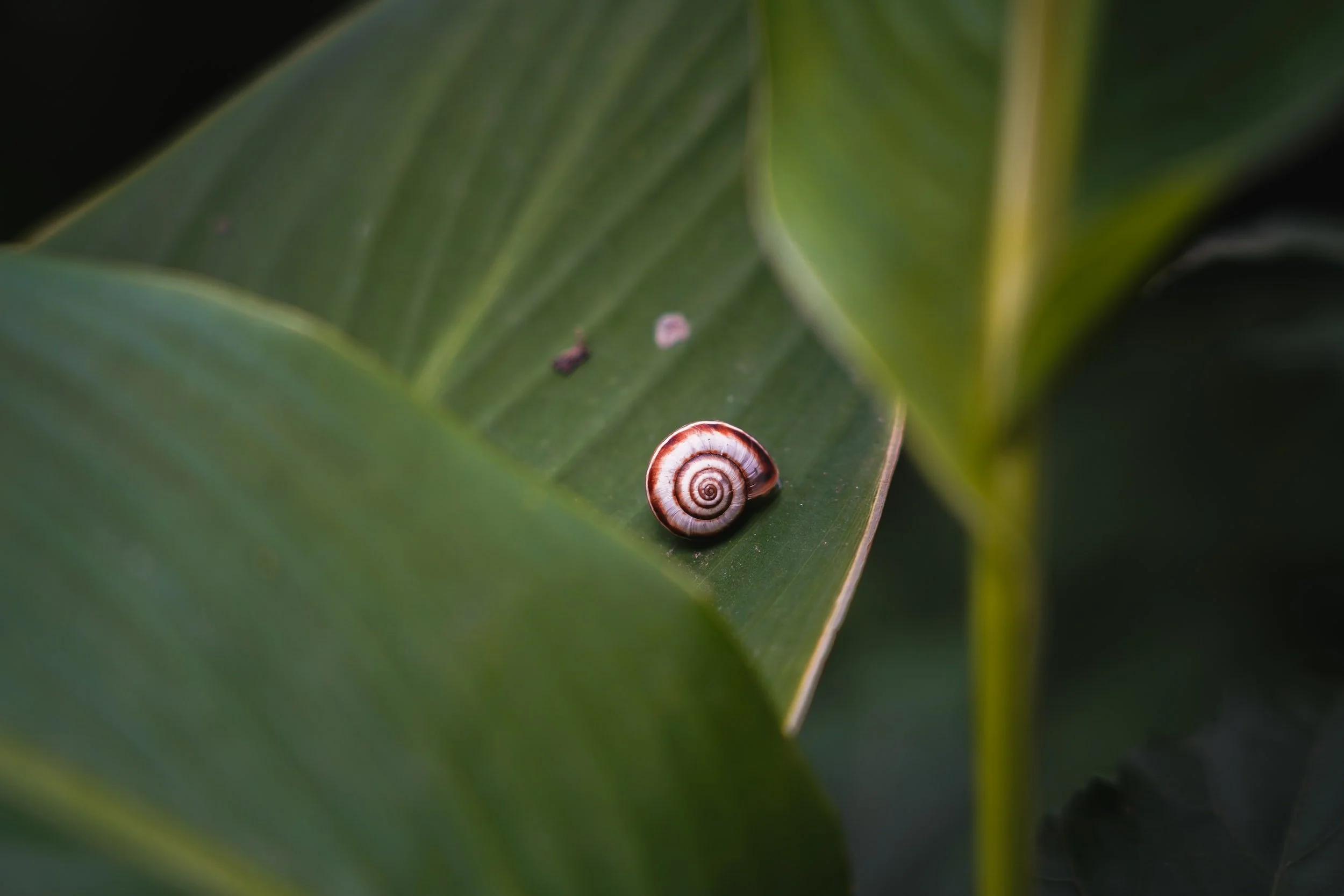 "Finding Power" by Ana Burroughs