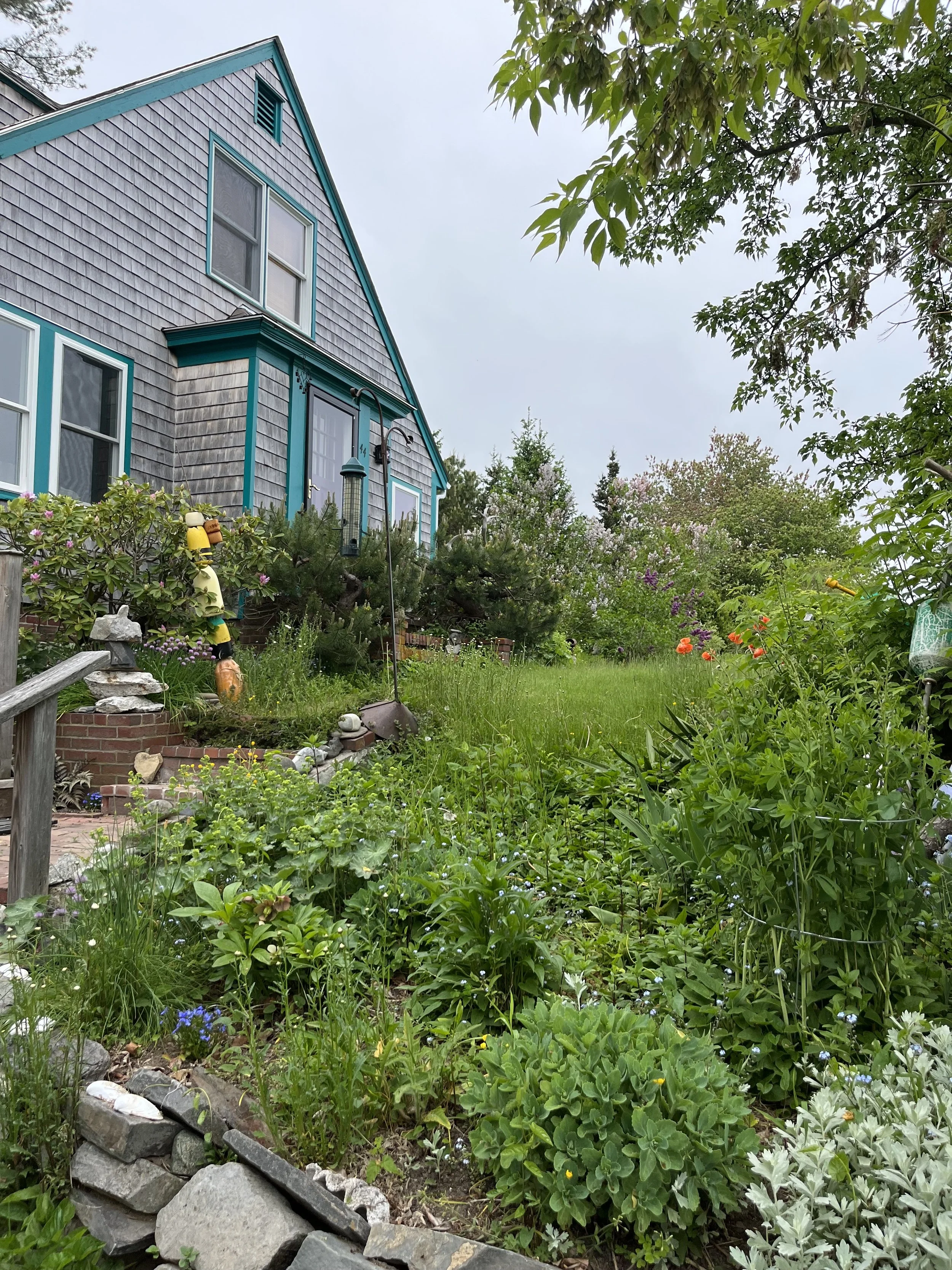 "The House on Shoreline Drive" by Ruby Luhrman