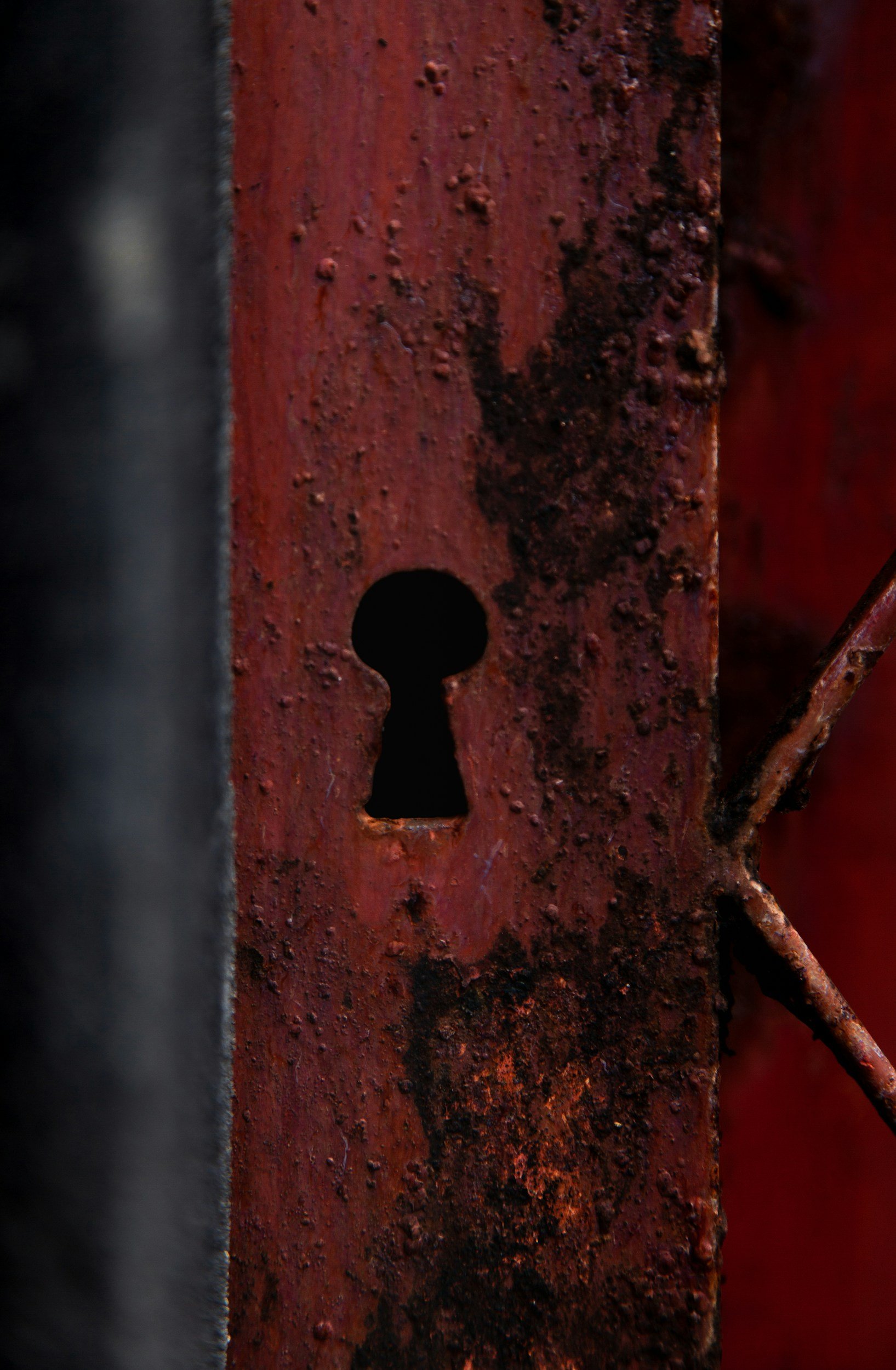 "The Red Door" by Malcolm Nadeau