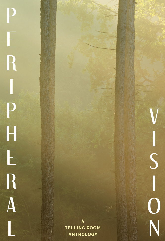 Peripheral Vision Cover Image.png