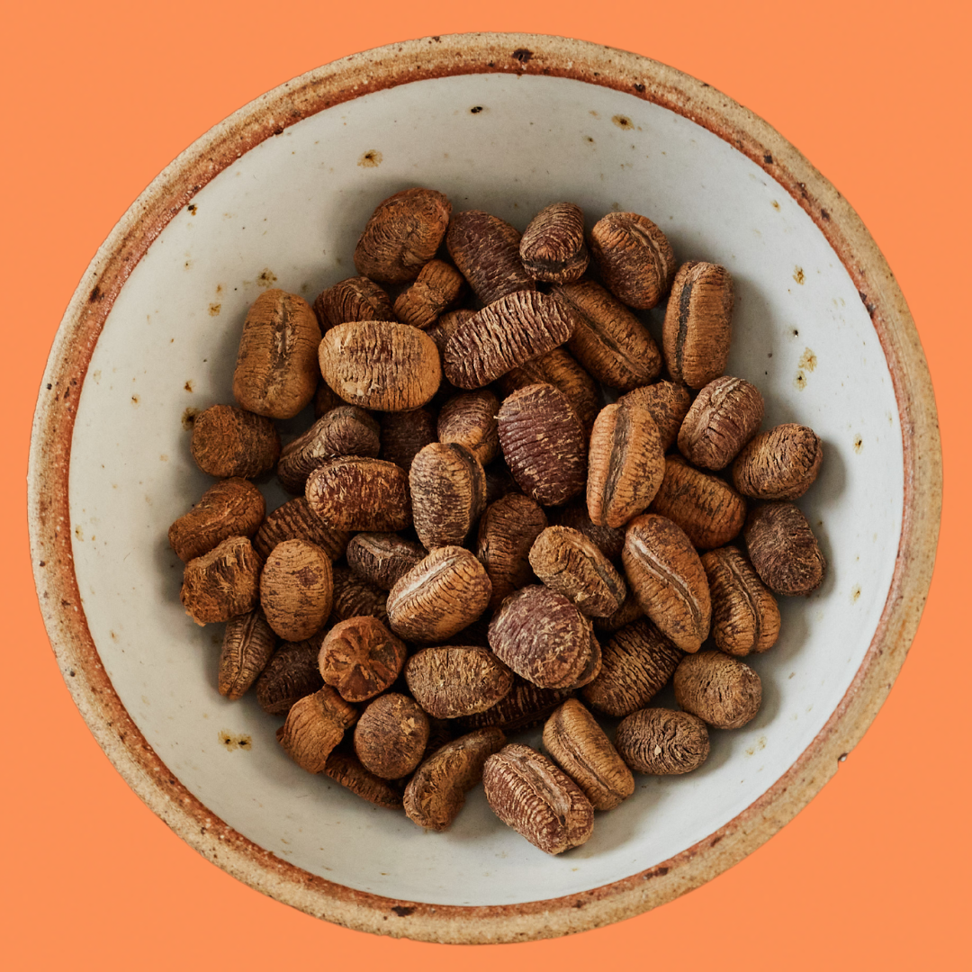 Ehuru / Calabash Nutmeg Refil Pouch