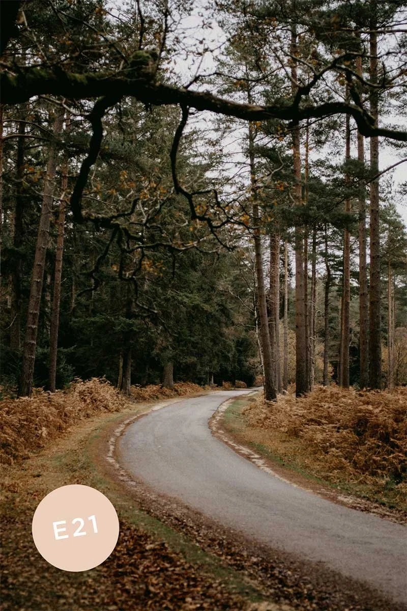 Ep 21 | That September feeling: A gentle autumn reflection 