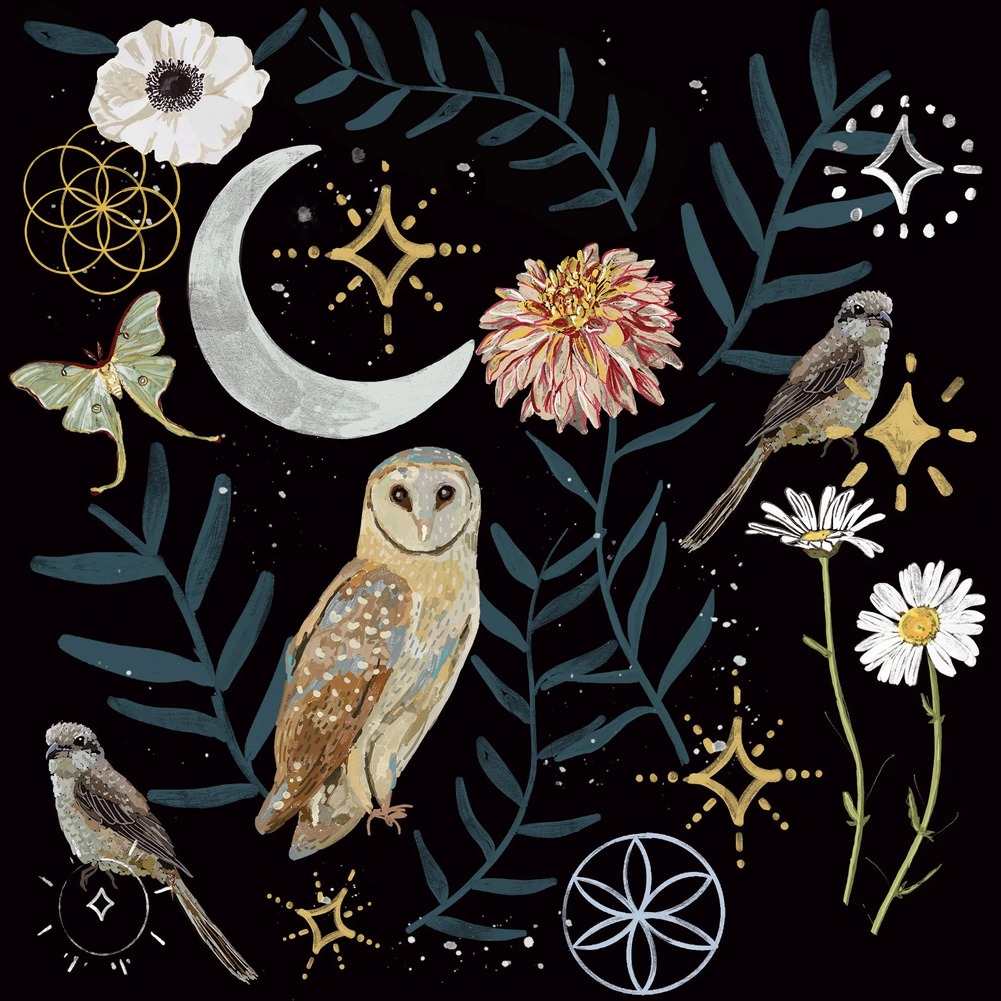 Owlpaper2.jpg