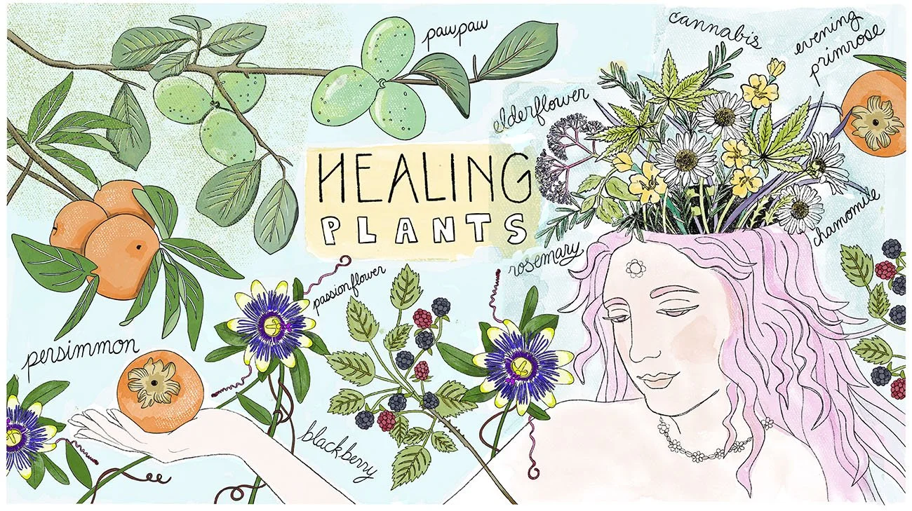 digital mural for a wellness business