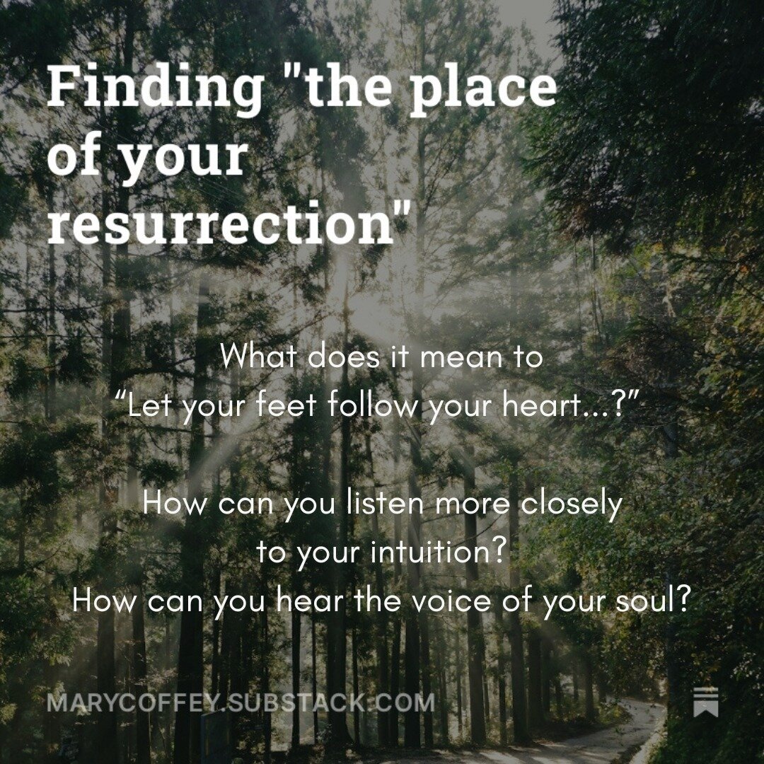 Are you being called to an inner journey?My latest post on Substack unpacks the Celtic phrase: &quot;Let your feet follow your heart to the place of your resurrection.&quot;

#celticspirituality 
#yourresurrection
#followyourheart 
#listentoyourintui