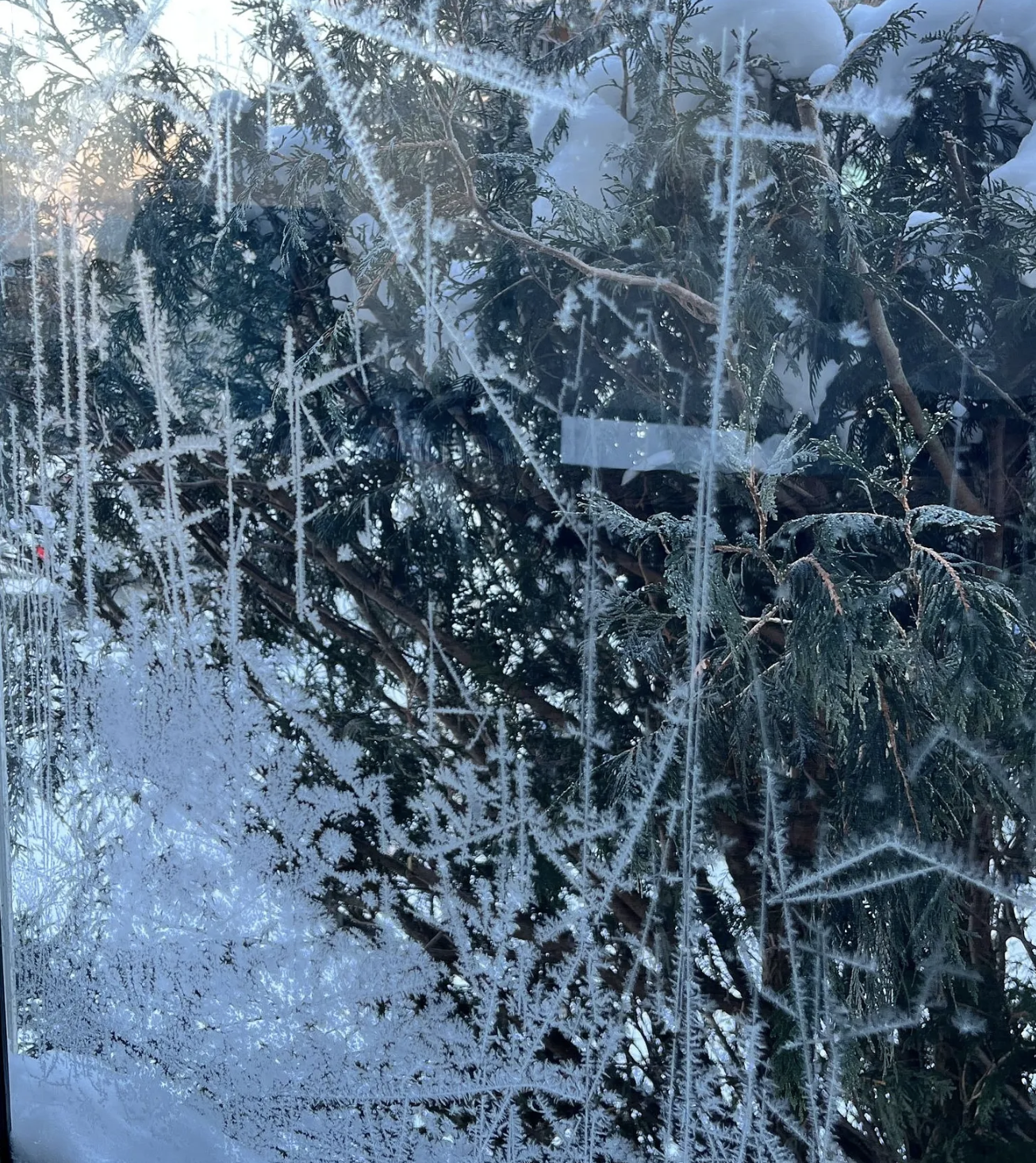 A message from the Cailleach