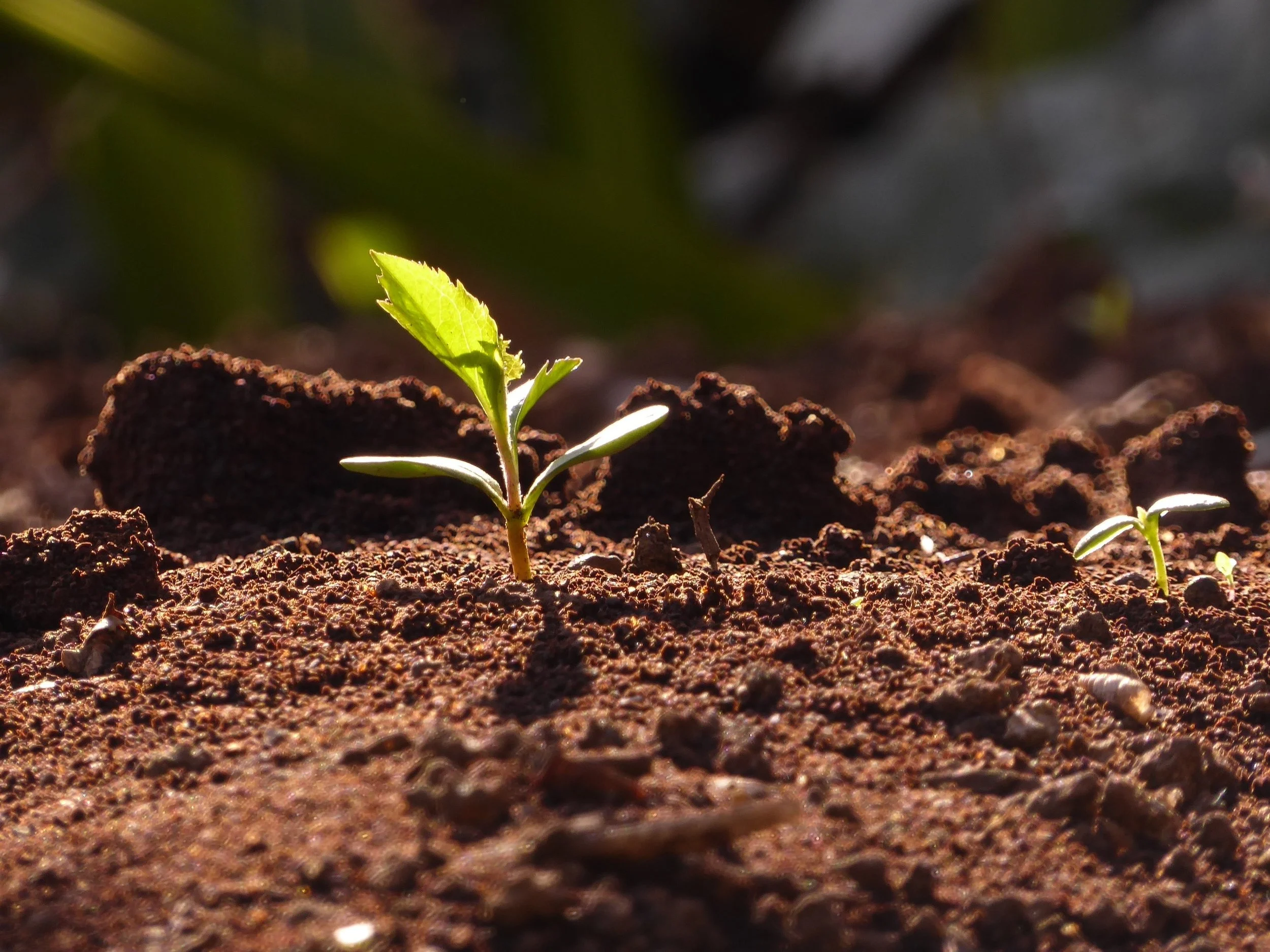 What is spiritual growth after deconstruction?