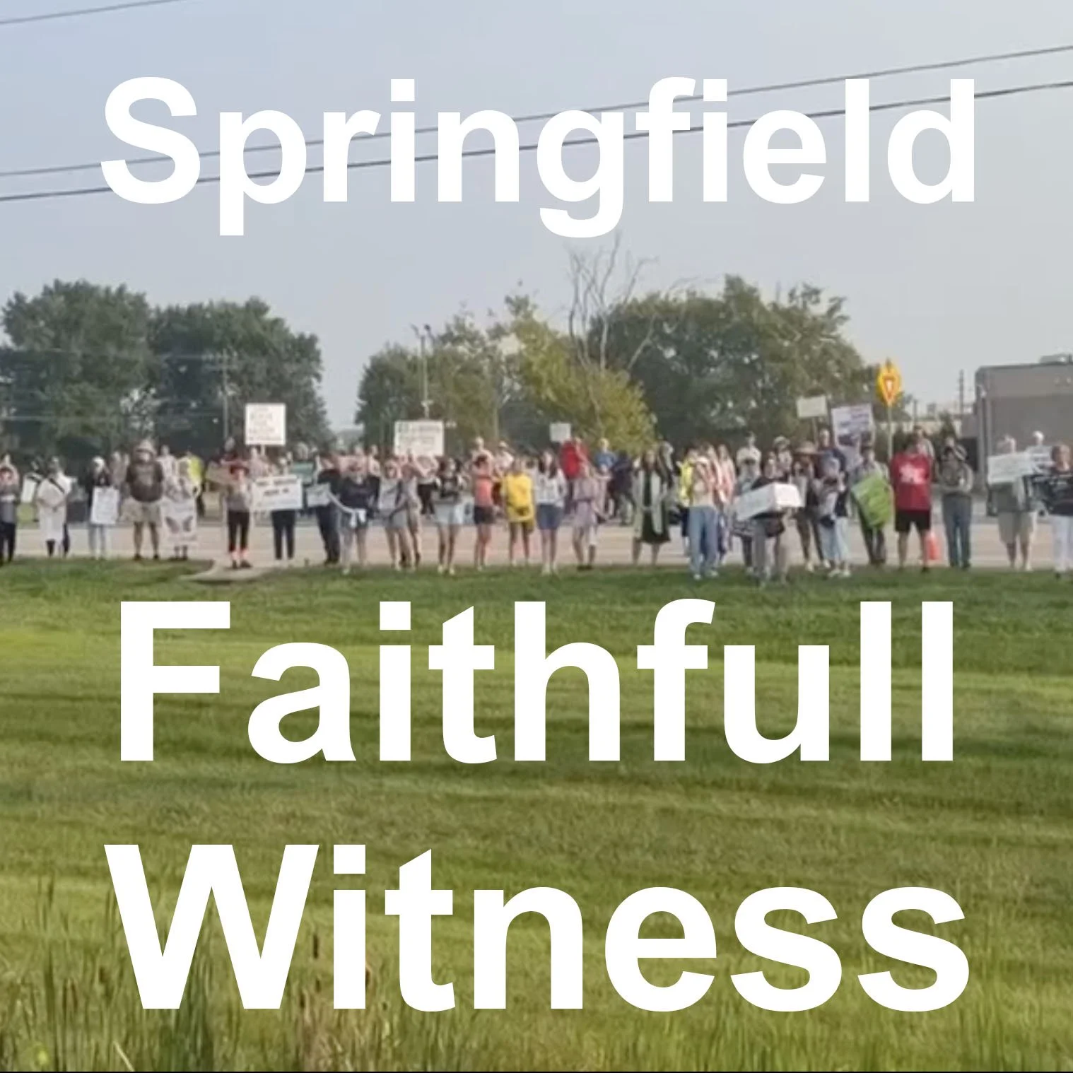Springfield Faithfull Witness
