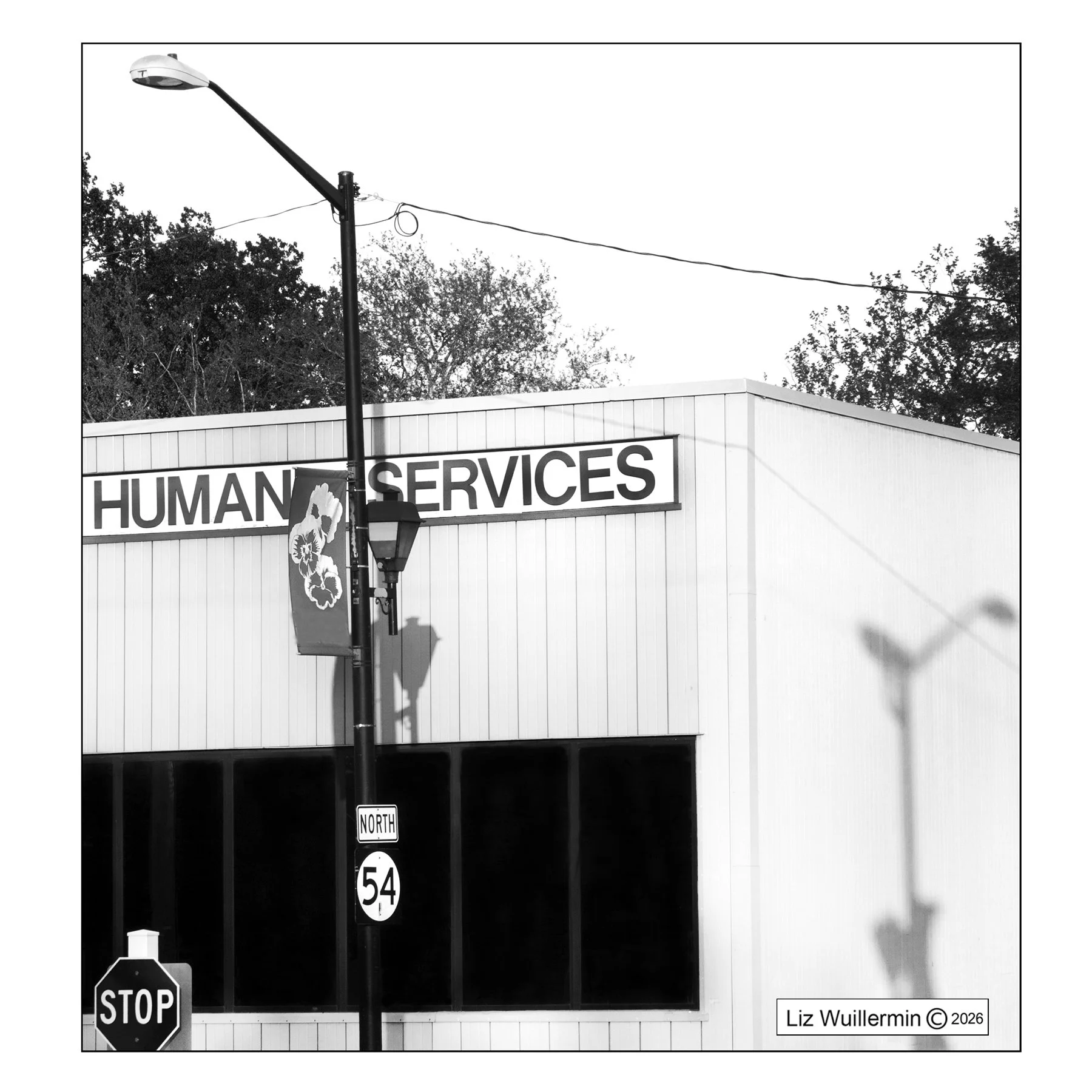 Human Services