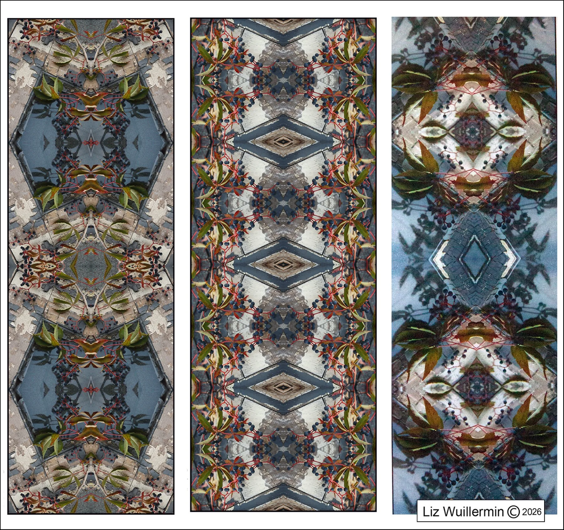 Three Panel Blueberry Kaleidoscope