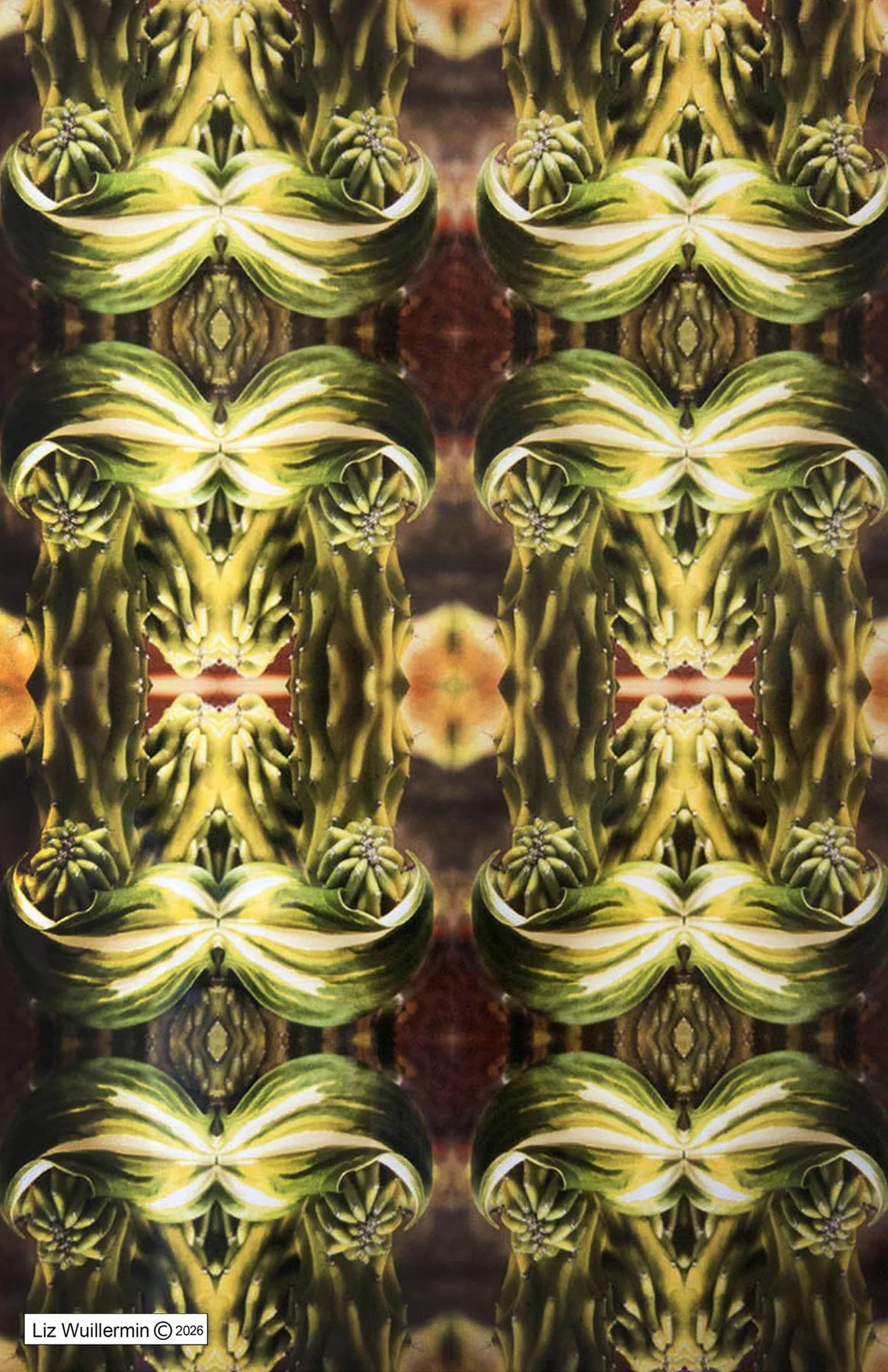 Feminine Sun Shields