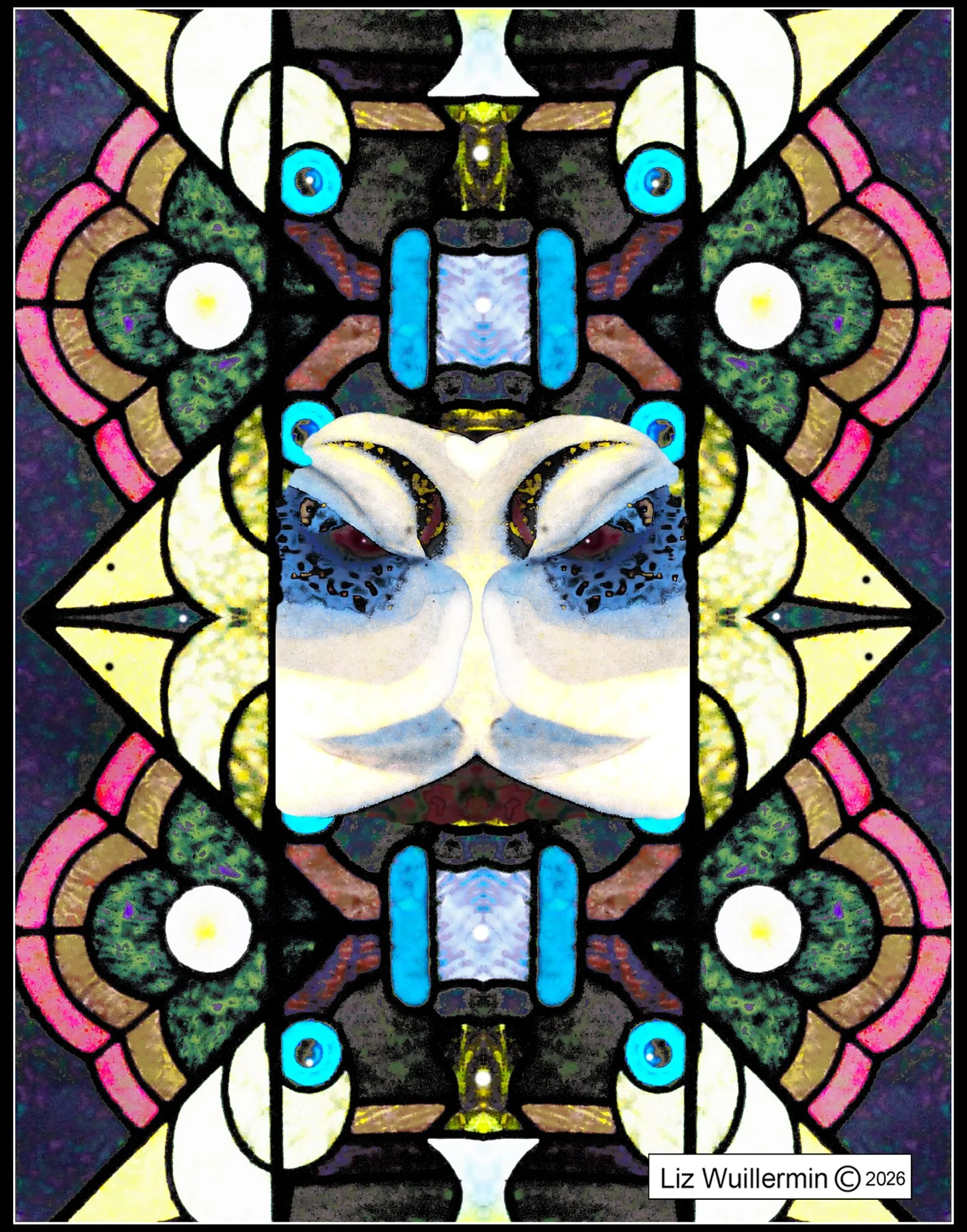 Communion with Dolphins