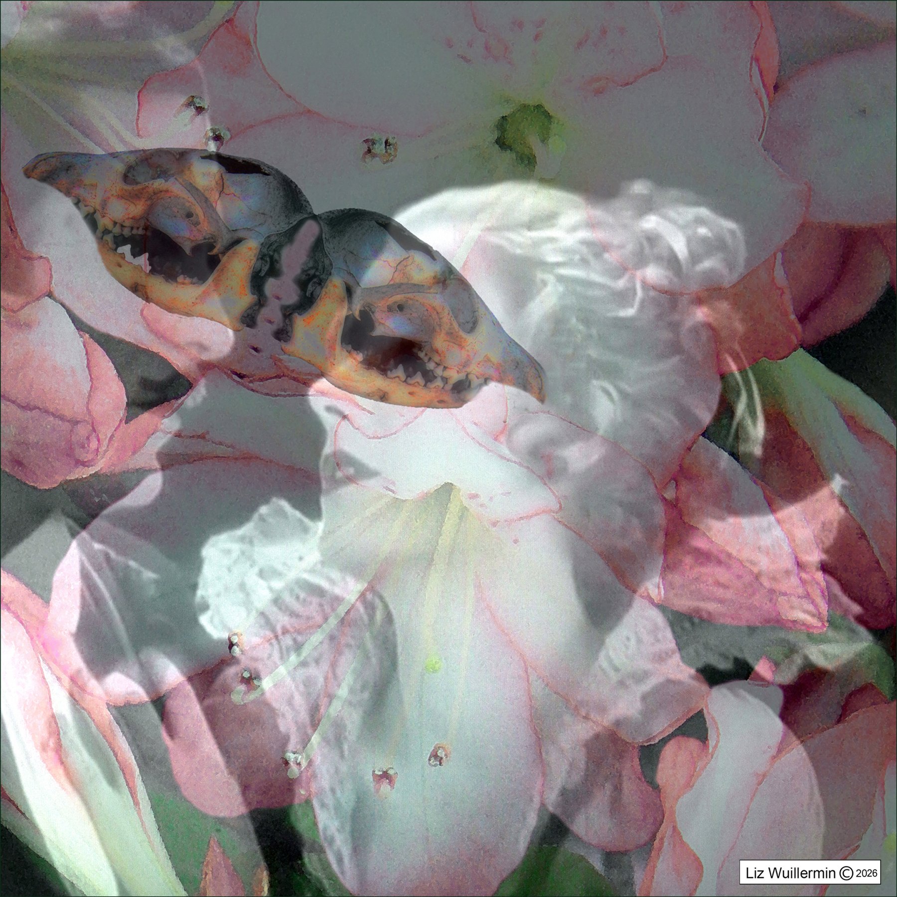 Olde to Gregory and Paula