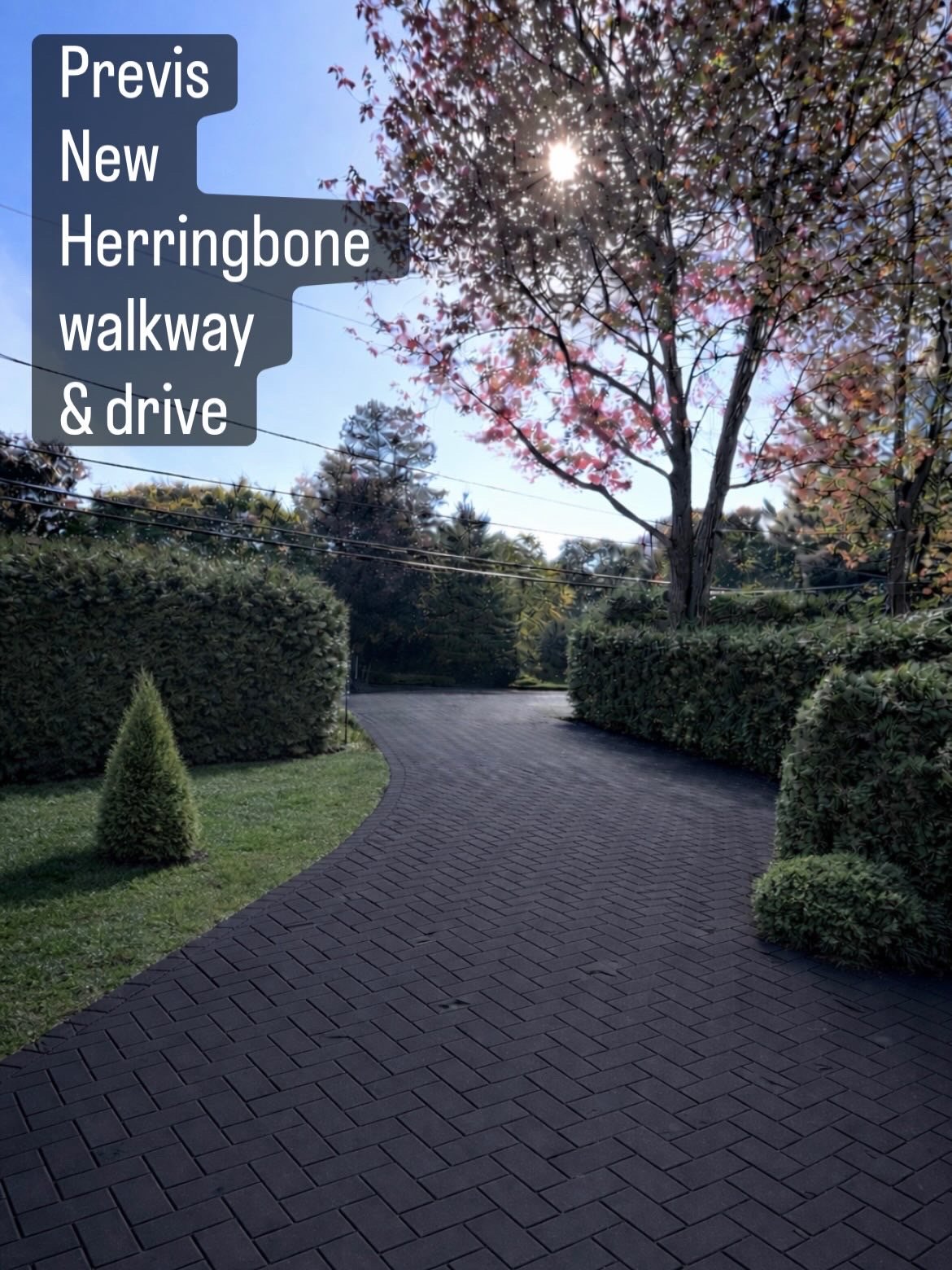AI pre vis of new walkway  and driveway design