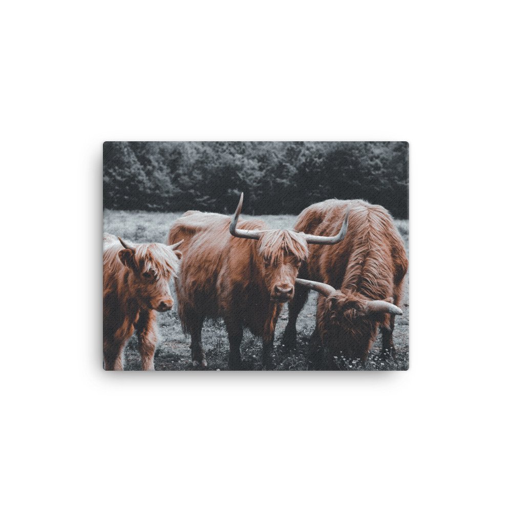 canvas-(in)-12x16-wall-644cb6e9b6ffe.jpg
