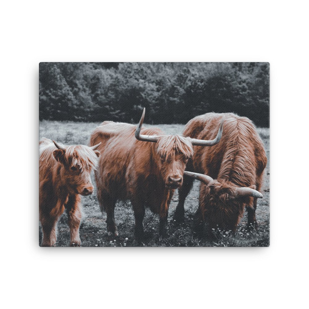 canvas-(in)-16x20-wall-644cb6e9b706d.jpg