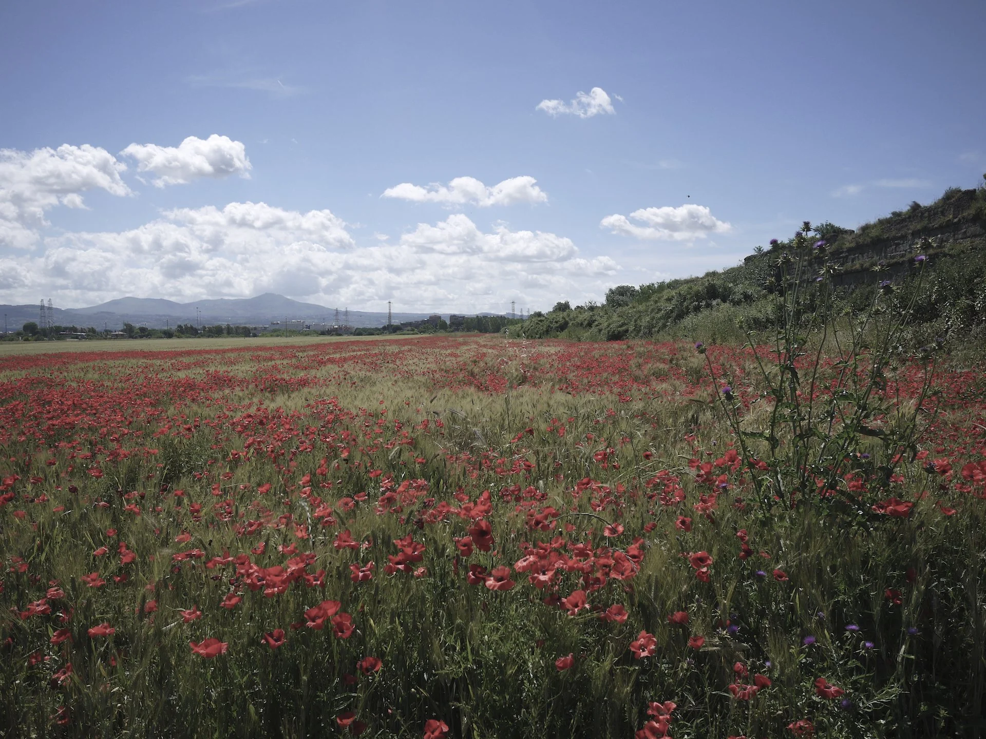 PAESAGGIO-ITALIANO-29.jpg