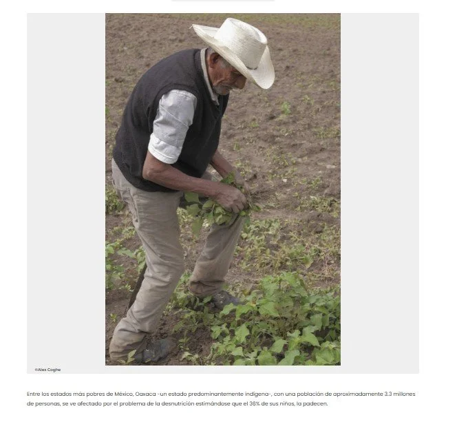 ALEX COGHE FOR PUENTE A LA SALUD - MEXICO DESCONOCIDO