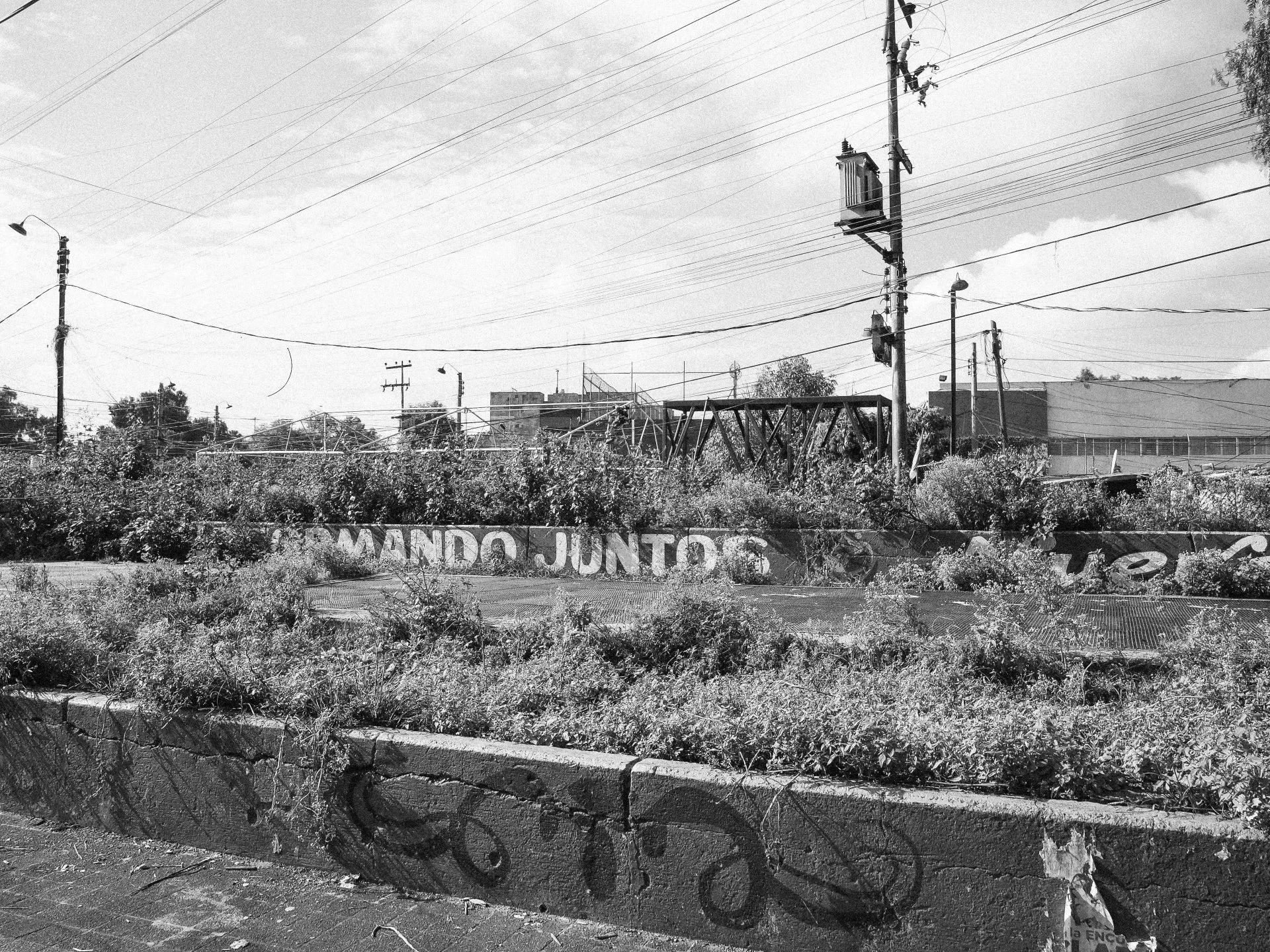 TOPOGRAPHICA B&W (33).jpg