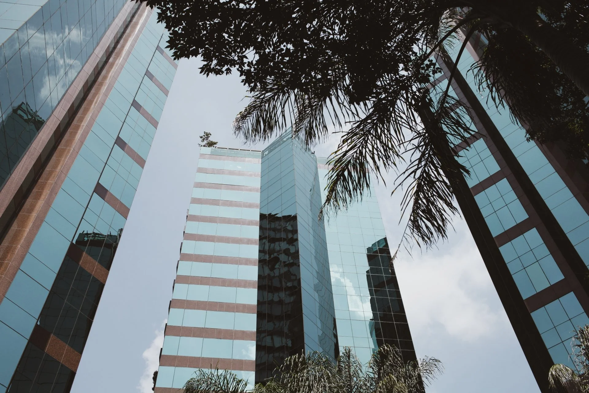 Looking up at modern glass skyscrapers with palm trees in the foreground and a partly cloudy sky.