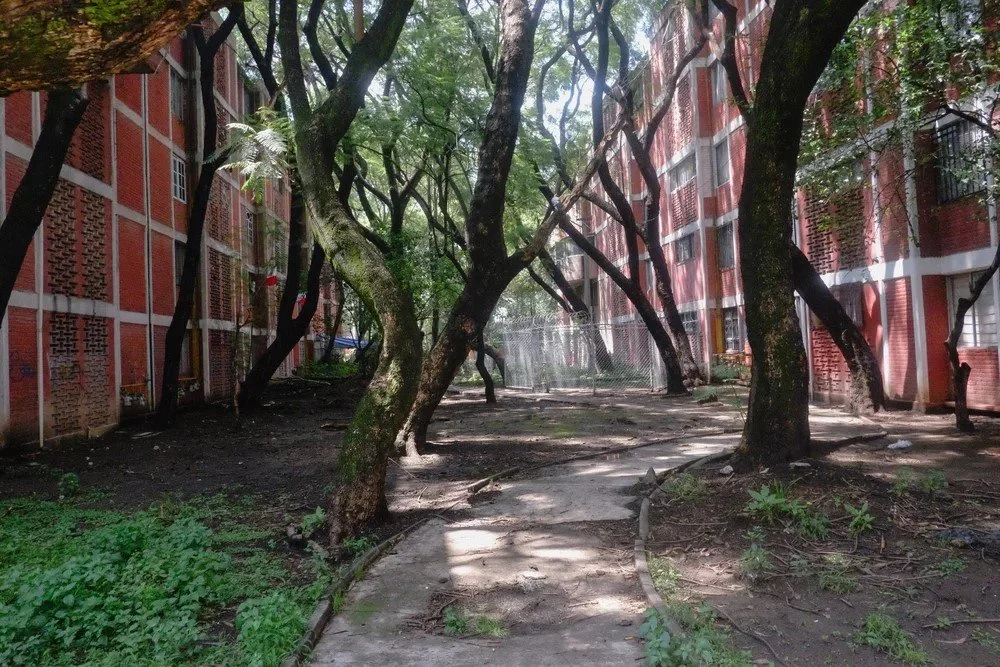 Pathway through a wooded area between red brick apartment buildings, with trees casting shadows on the ground.