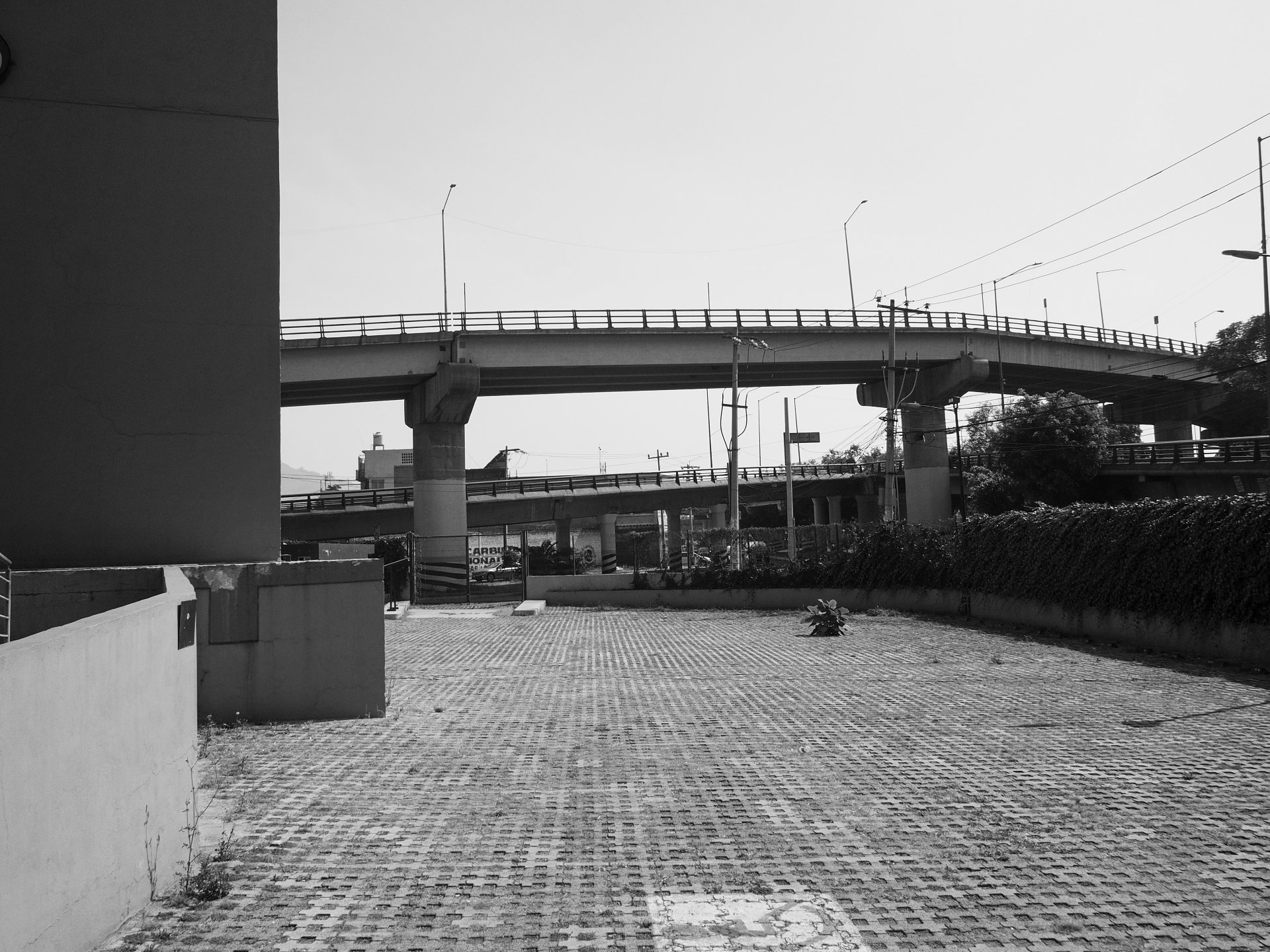 02012025-ALEX0032.jpg