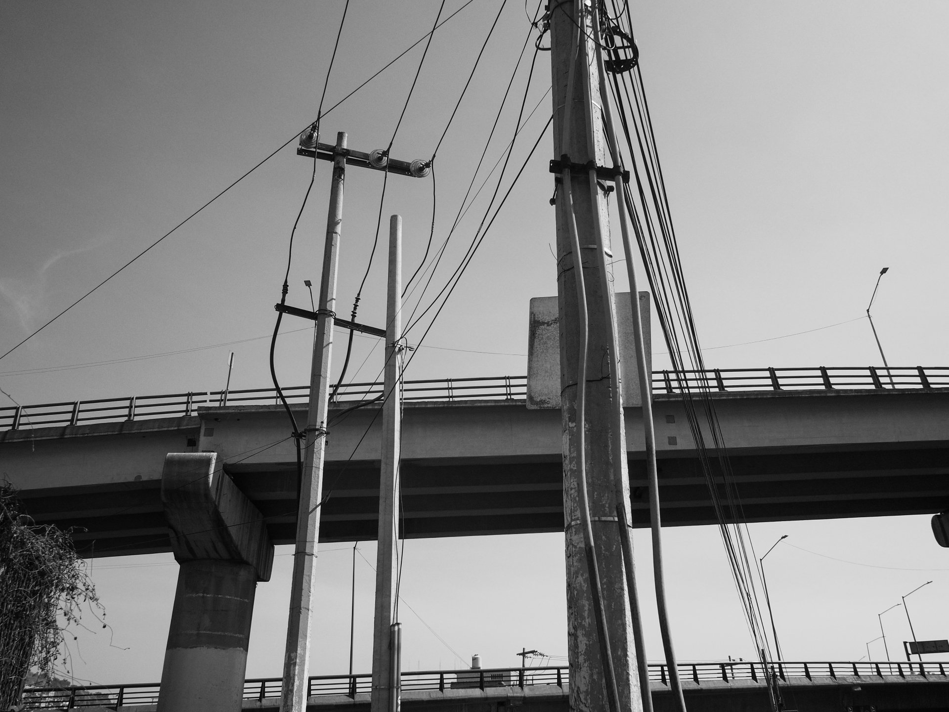 02012025-ALEX0038.jpg