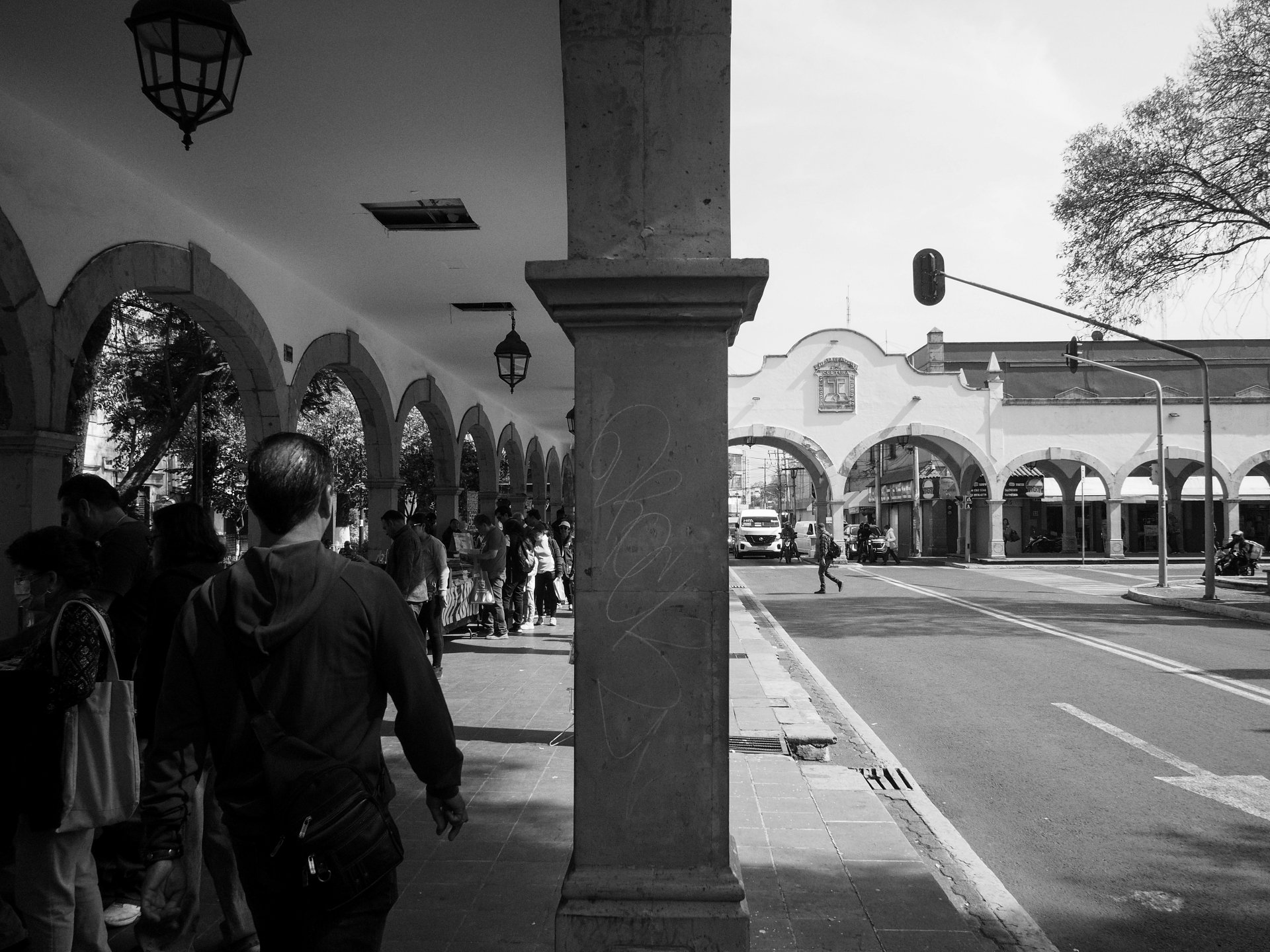 02012025-ALEX0055.jpg